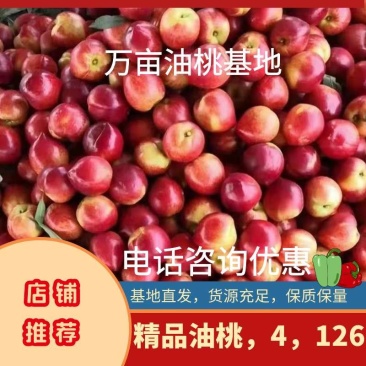 【桃源直发】精品油桃全国发货中油4，126，5保证品质