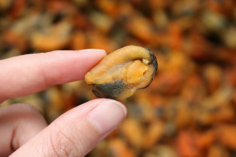 广州人大号淡菜350头规格香味十足支持批发一件代发货源