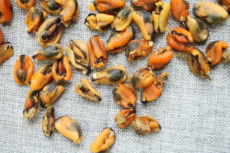 广州人大号淡菜350头规格香味十足支持批发一件代发货源