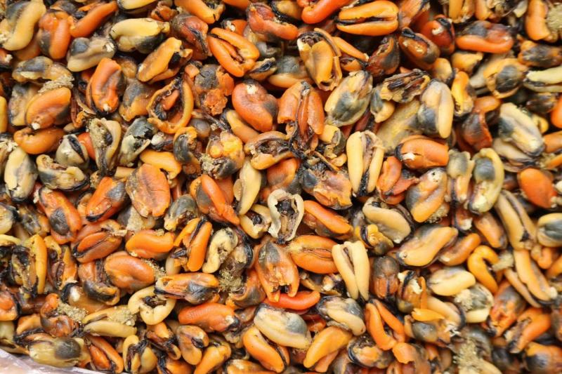广州人大号淡菜350头规格香味十足支持批发一件代发货源