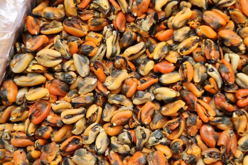 广州人大号淡菜350头规格香味十足支持批发一件代发货源