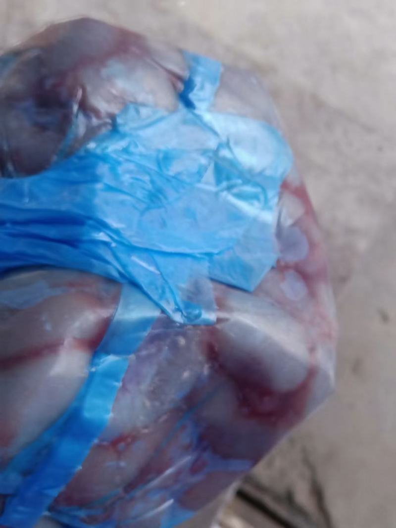 鸡腰子个头均匀货干大量批发