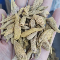 金丝郁金黄丝郁金川郁金正品无硫无添加高含量