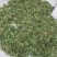 蛇足石杉虱子草还阳草千层塔