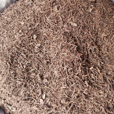 西南海风藤无杂净货量大从优欢迎选购