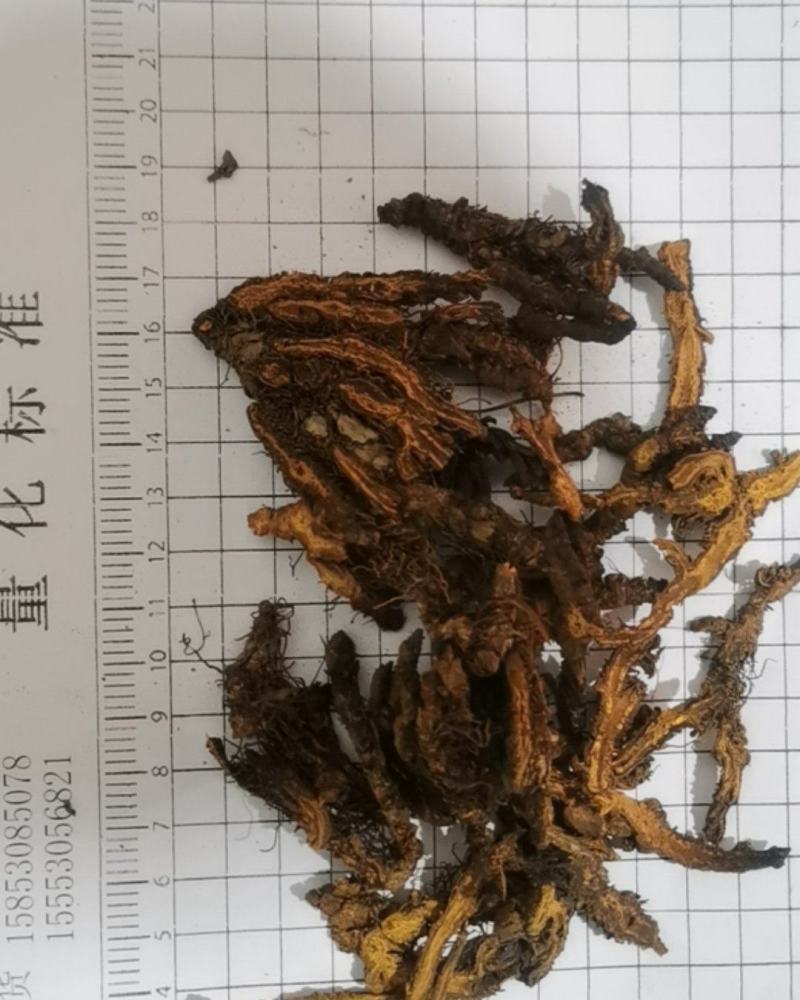 黄连片颜色好当天发货批发零售各种中药材