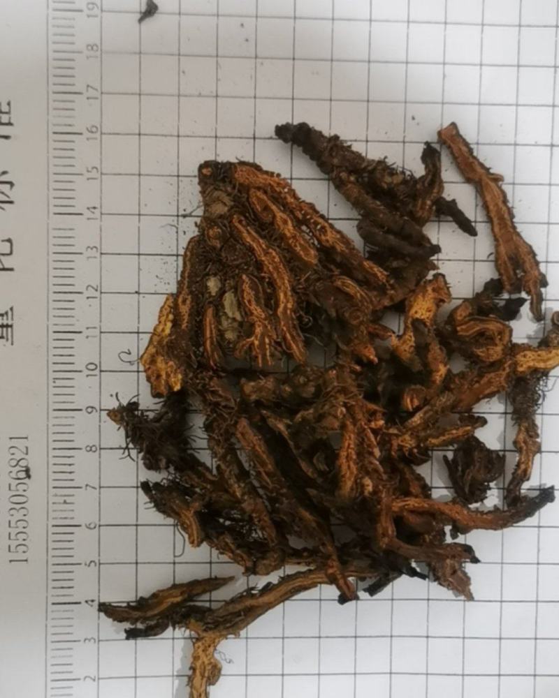 黄连片颜色好当天发货批发零售各种中药材