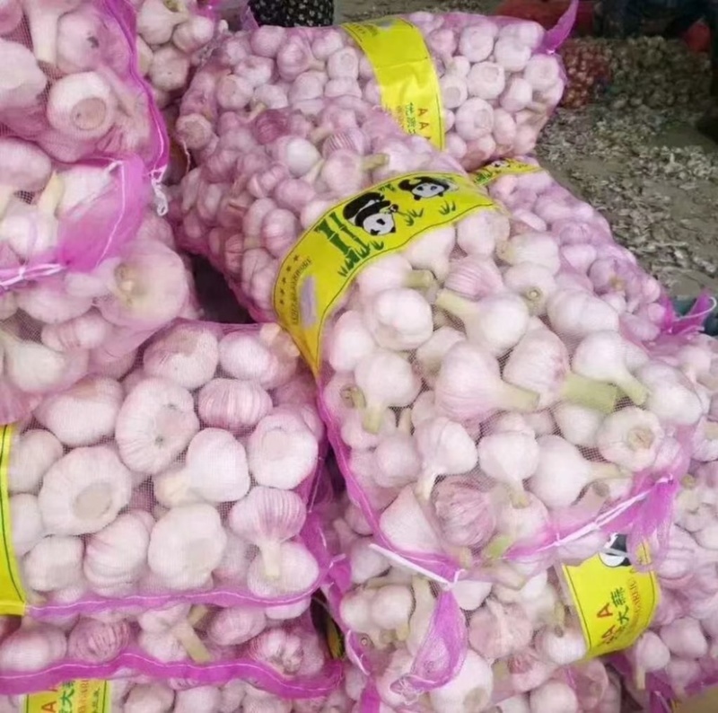 大蒜杂交鲜蒜量大从优质量好诚信经营产地直发欢迎来电