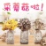 平菇菌包菌棒，电商平台地摊供应源头厂家