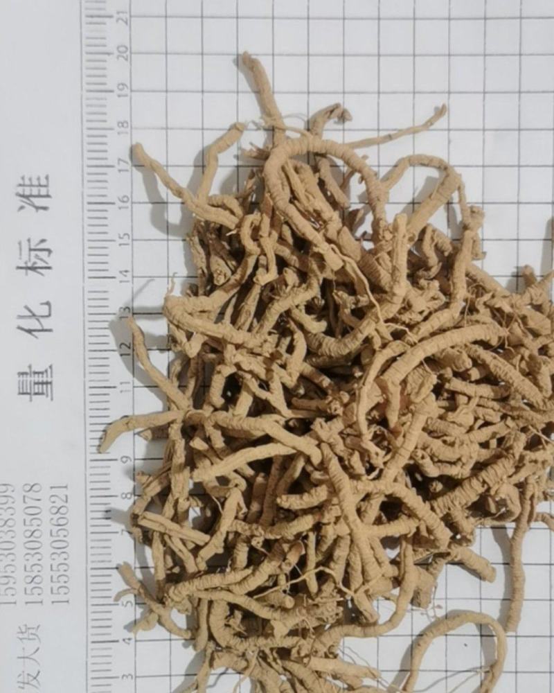 泽润中药批发供应远志筒好统货