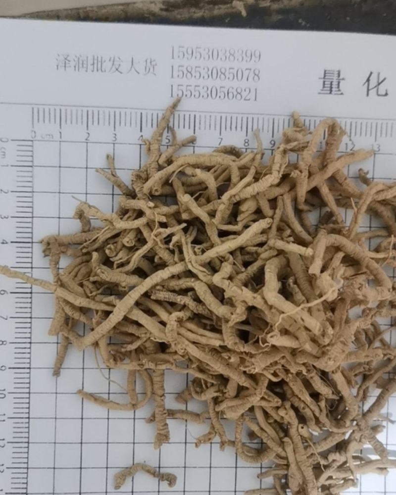 泽润中药批发供应远志筒好统货