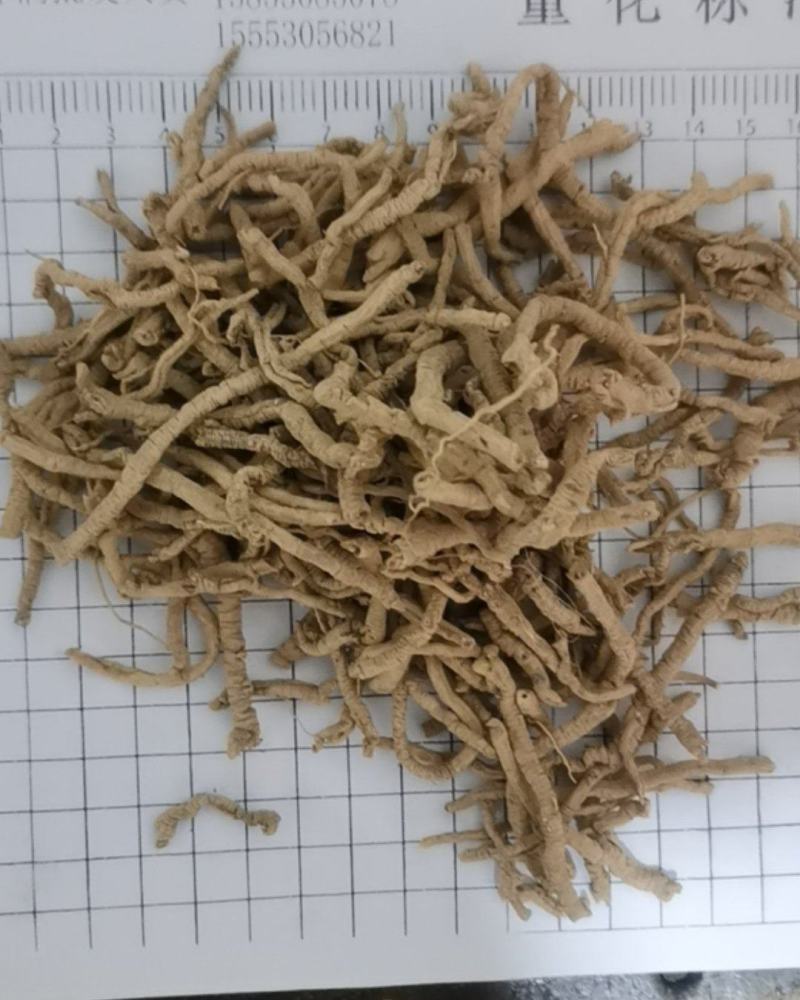 泽润中药批发供应远志筒好统货