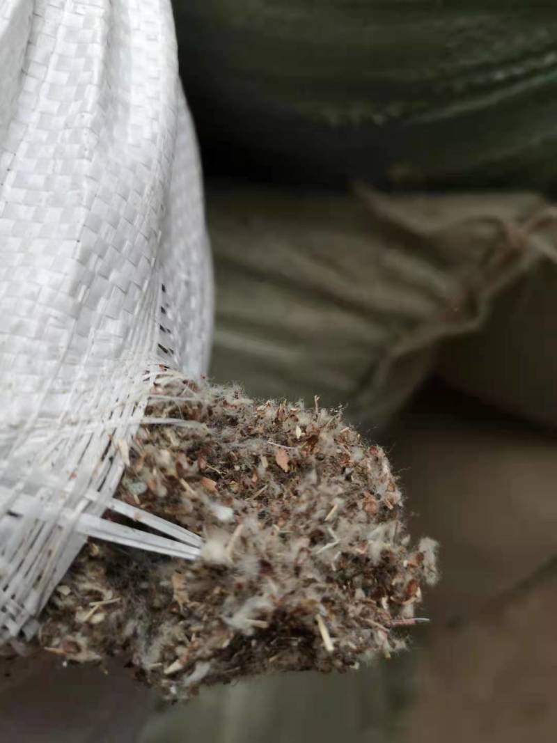 新疆优质棉渣棉籽壳磨盘含棉仁当天发货当年新货