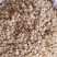 优质甘肃内蒙苦杏仁量大从优无硫货干无杂欢迎选购
