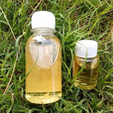 薄荷油