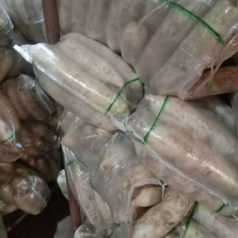 大量批发供应加工厂的，养殖场的袋装白萝卜，渣萝卜
