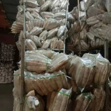 大量批发供应加工厂的，养殖场的袋装白萝卜，渣萝卜