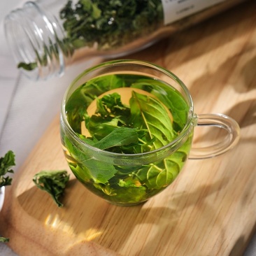 薄荷叶新鲜食用泡水干薄荷叶泡茶薄荷茶茶叶级特清凉500g