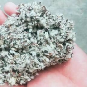 湖南玉米芯棉籽壳棉渣废棉，稻草麦秆麸皮次粉米糠