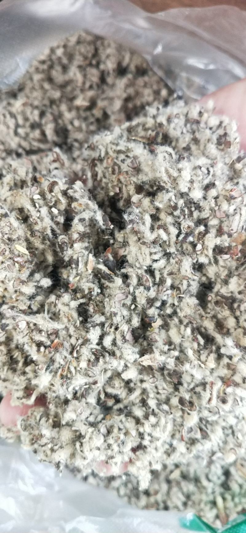 湖南玉米芯棉籽壳棉渣废棉，稻草麦秆麸皮次粉米糠