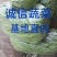 精品长豆角，豇豆大量上市，代发全国，欢迎全国客商前来选购