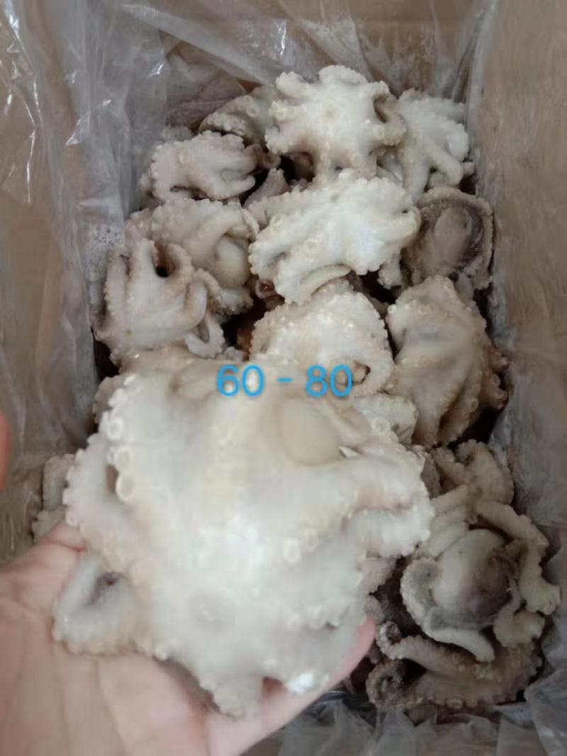 干冰八爪鱼大量有货，一件毛重10斤，净9斤