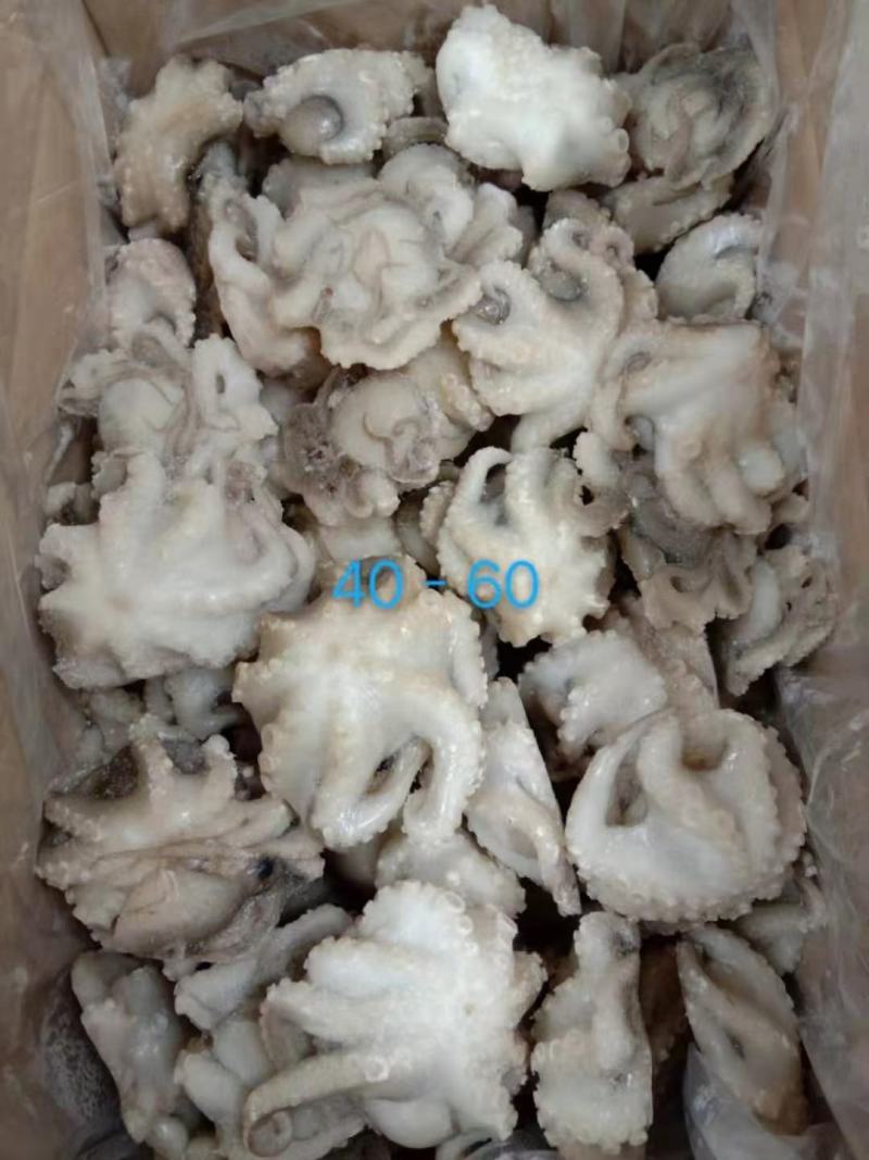 干冰八爪鱼大量有货，一件毛重10斤，净9斤