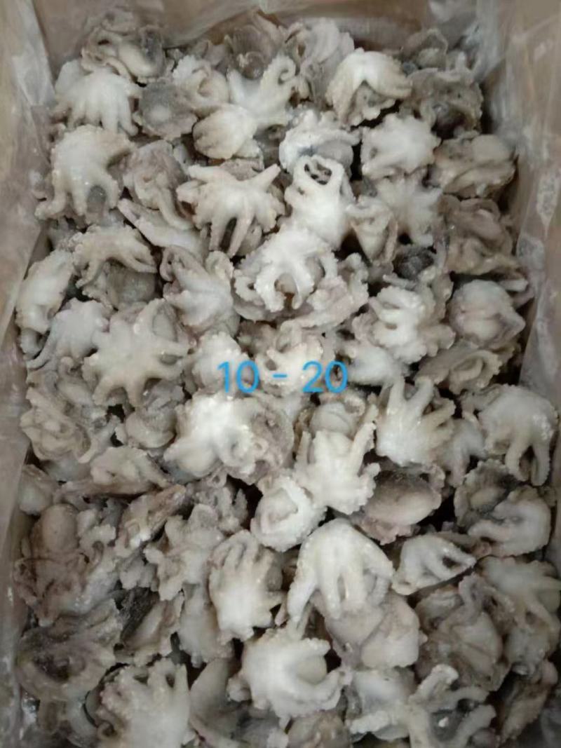 干冰八爪鱼大量有货，一件毛重10斤，净9斤