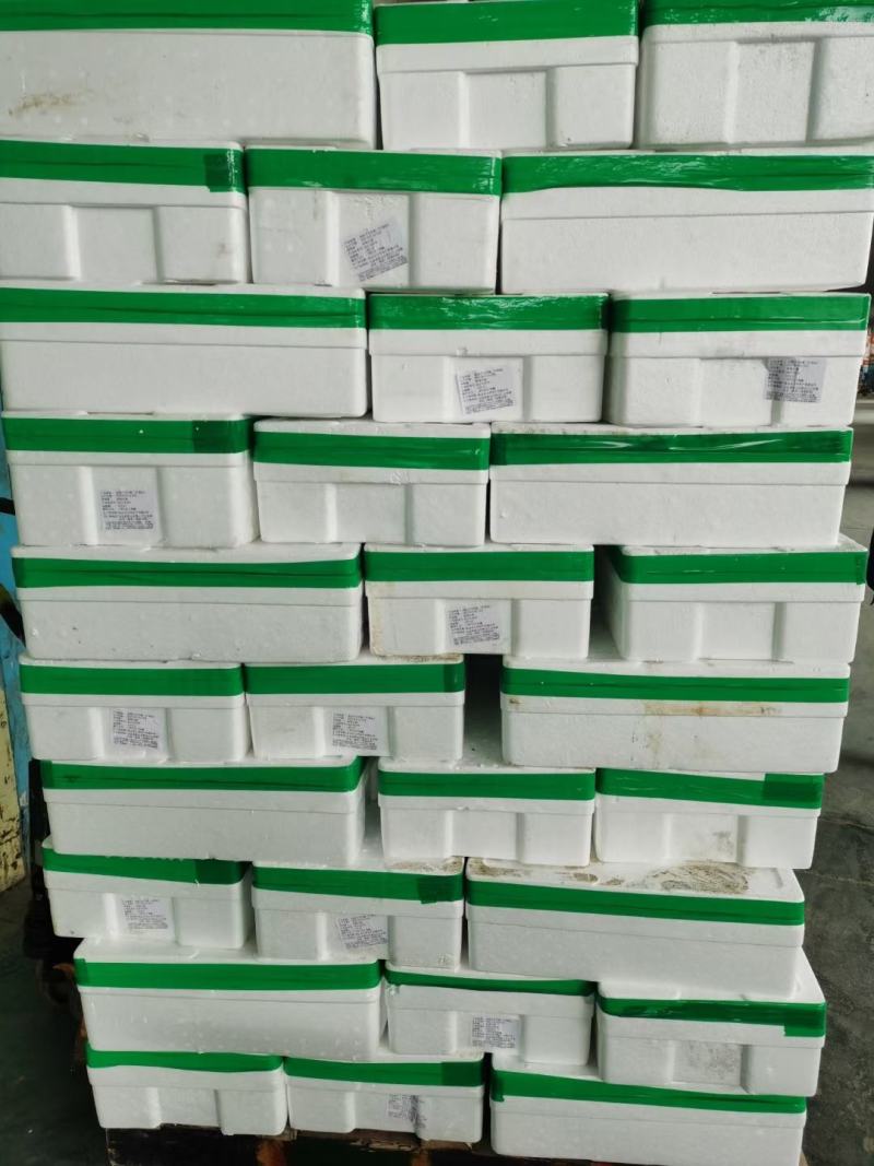 乳山生蚝大量有货，片数齐全，各种规格都有货，欢迎前来订货