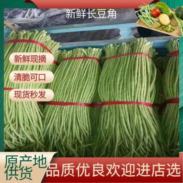 安徽省芜湖市，精品长豆角大量上市，80公分到90公分长，