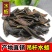 【一手货源】吊杆水蛭蚂蟥清水吊杆水蛭货源稳定