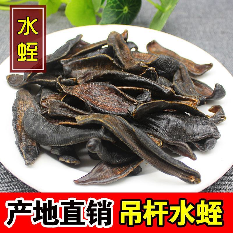 【一手货源】吊杆水蛭蚂蟥清水吊杆水蛭货源稳定