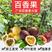 广西百香果南北方可种植有个各品种百香果出售
