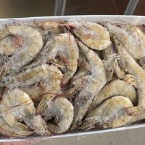 对虾单体鲜活速冻大小规格都有全国供应南美对虾