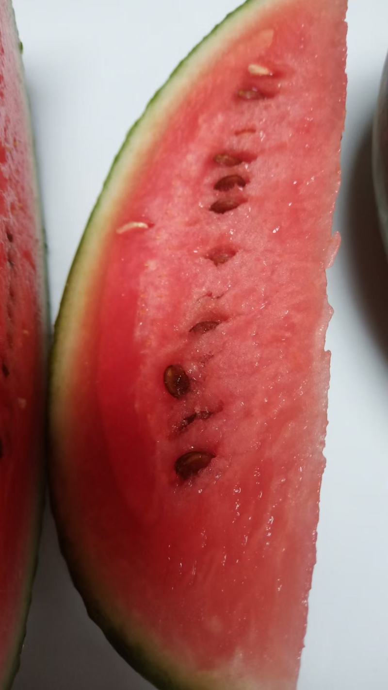 吊兰