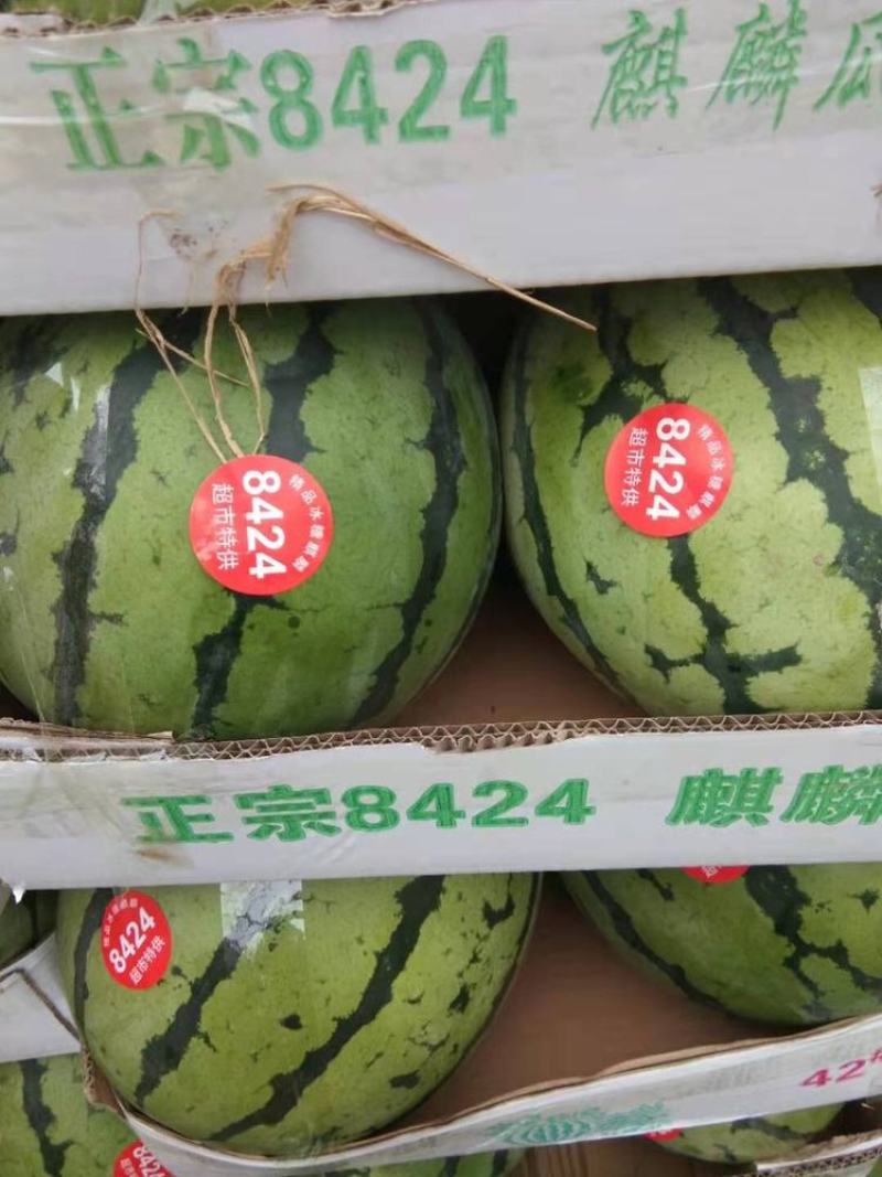 砀山县朱楼镇水果代办