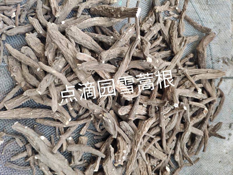 点滴园正品云南大山野生雪蒿根需要客户请直接下单