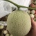 海阳网纹瓜鲁厚甜一号