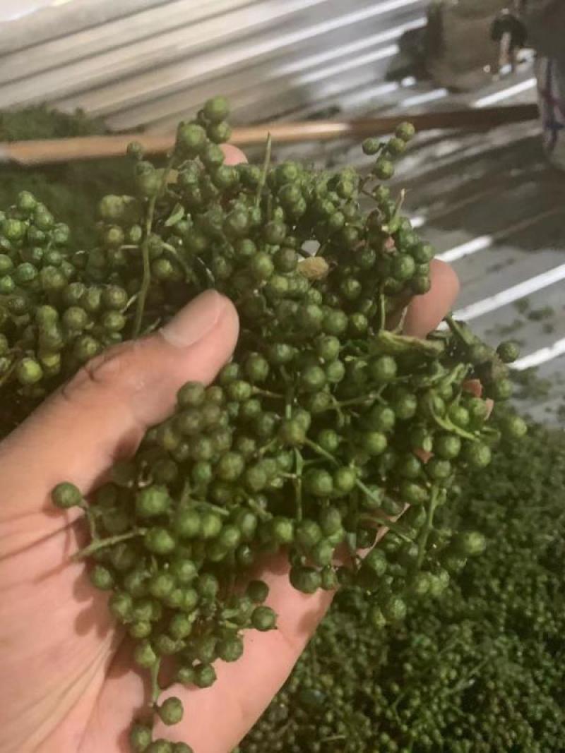 新青花椒跑江湖地摊展会一手货源批发