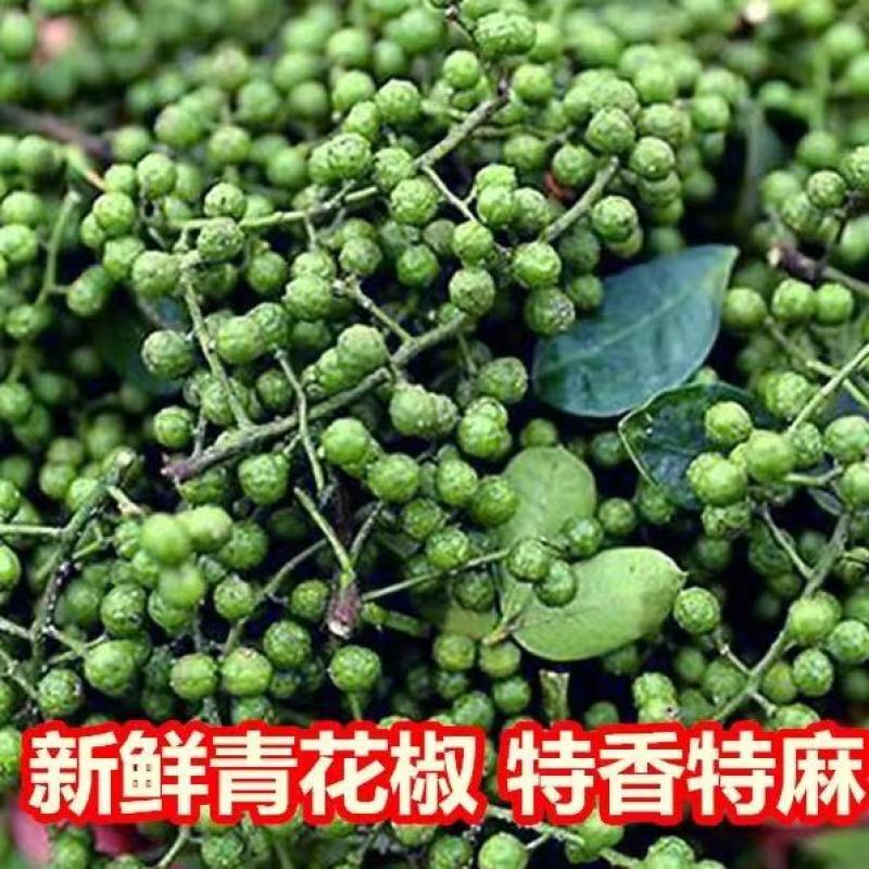 新青花椒跑江湖地摊展会一手货源批发