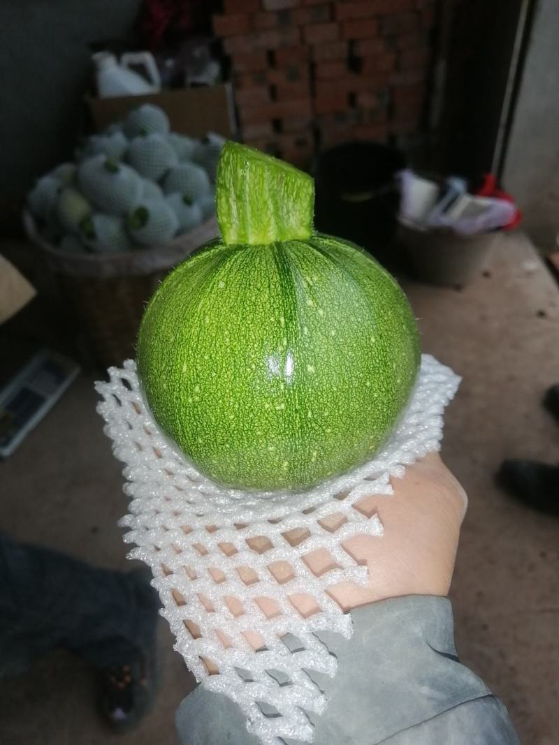 南瓜大量上市