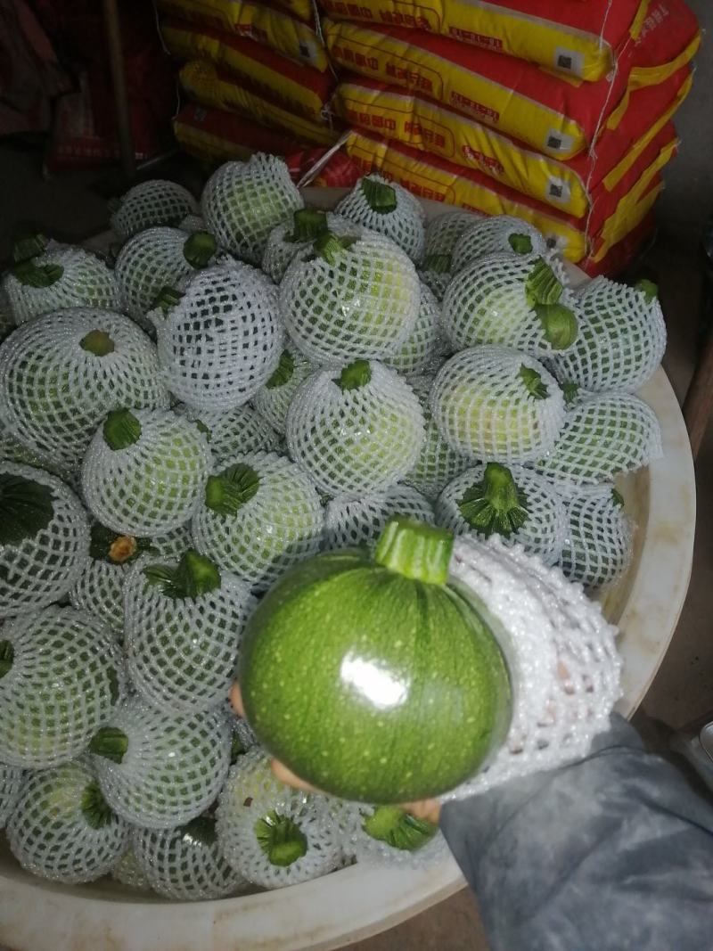 南瓜大量上市
