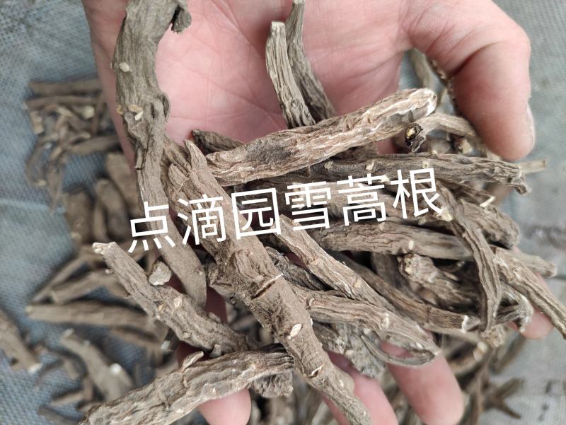 点滴园正品云南大山野生雪蒿根需要客户请直接下单