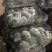 精品甘蓝圆包菜，个头匀称基地看货，一手货源量大价优