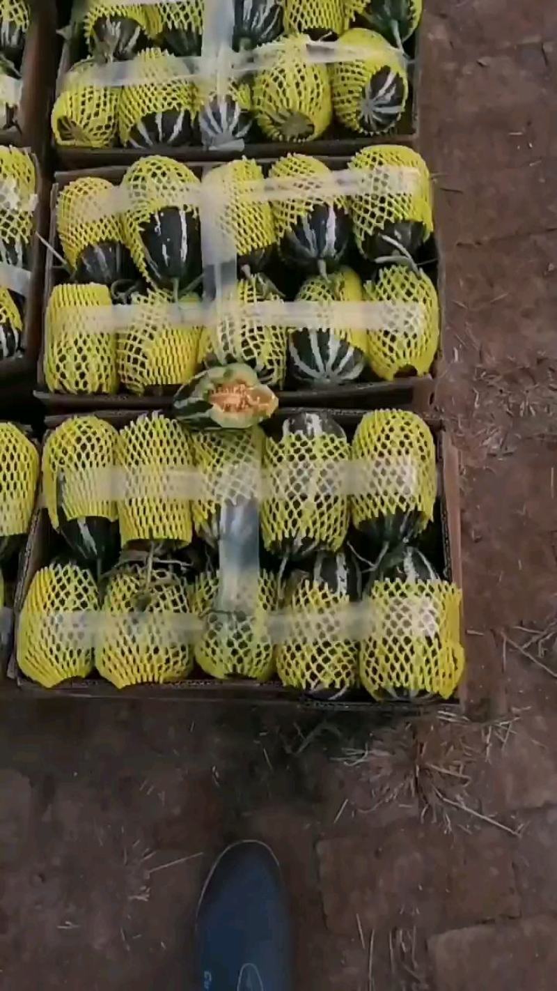 【推荐】博洋甜瓜万亩基地直发口感脆甜品质保证全国发货