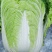 精品黄心大白菜，4斤到6斤，保证质量，需要的客户请联系