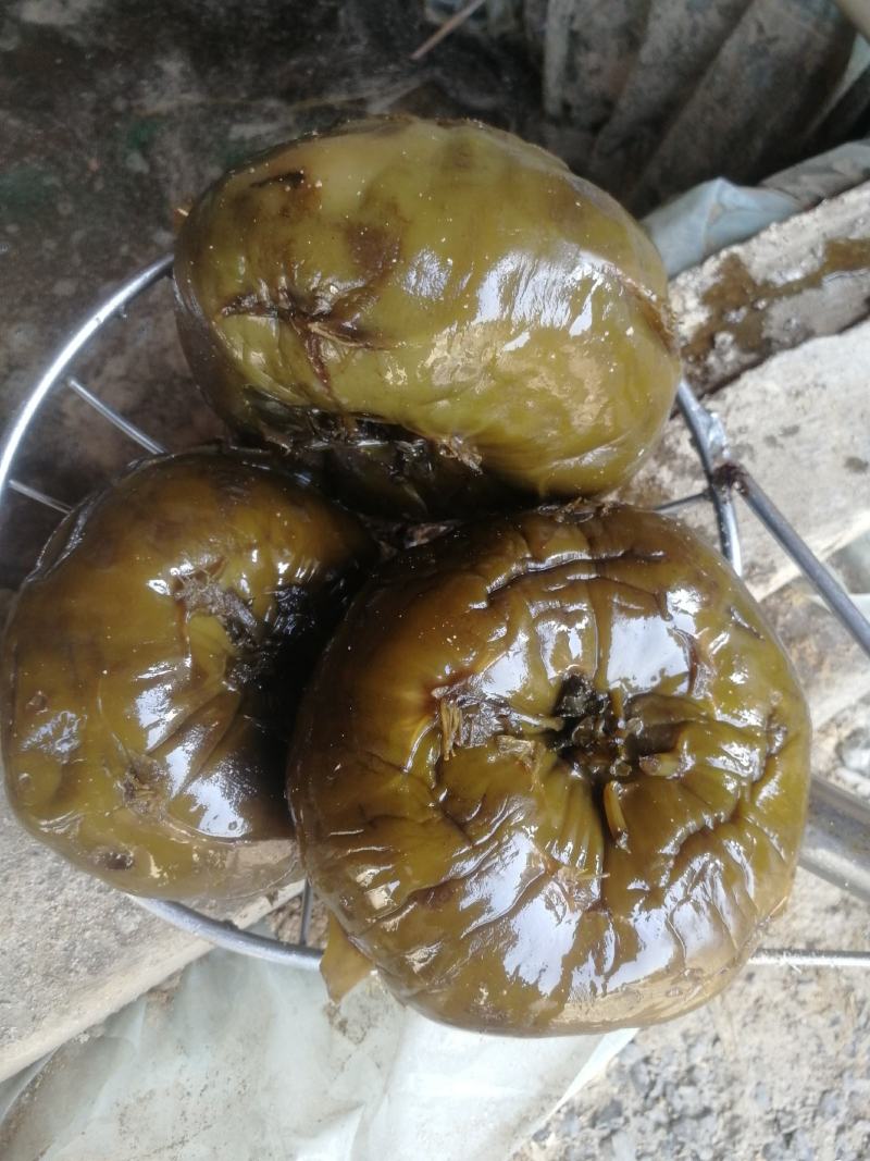 腌渍丕兰，丕兰咸菜