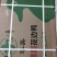 麻鸭仔麻鸭水鸭泥鸭白条麻鸭长期稳定供应