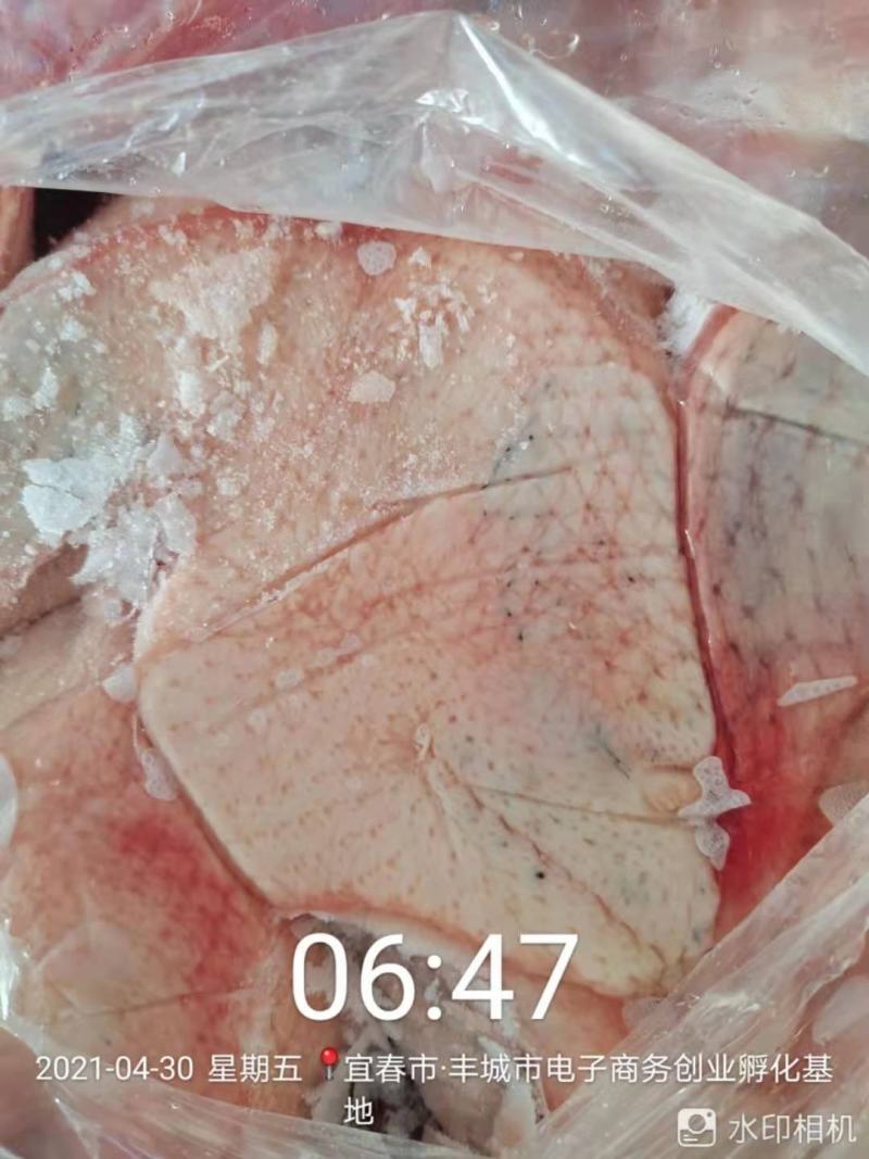 麻鸭仔麻鸭水鸭泥鸭白条麻鸭长期稳定供应
