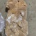 牛肚源头厂家适合炒菜黄焖牛肚凉拌肚